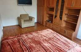 Apartament spatios, 1 camera, 40 mp, zona Izlazului