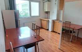 Apartament spatios, 1 camera, 40 mp, zona Izlazului