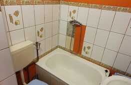 Garsoniera pet friendly, 22 mp, zona Casa Piratilor