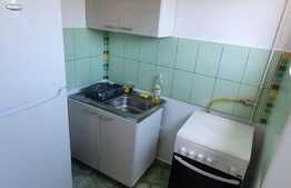 Garsoniera pet friendly, 22 mp, zona Casa Piratilor