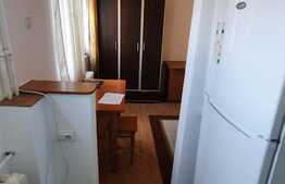 Garsoniera pet friendly, 22 mp, zona Casa Piratilor