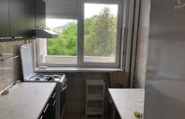 2 camere, 50 mp, renovat recent, zona strazii A. Vlahuta