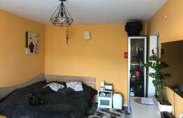 Scadere de pret! Apartament 2 camere decomandate, zona Regal, Baciu