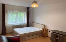 Apartament 2 camere, 55 mp, parcare, pet friendly, zona strazii Migdalului