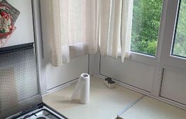 Apartament 2 camere, 55 mp, parcare, pet friendly, zona strazii Migdalului