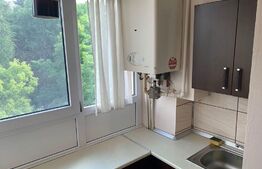 Apartament 2 camere, 55 mp, parcare, pet friendly, zona strazii Migdalului