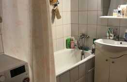 Apartament 2 camere zona Titulescu-Albini