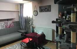 Apartament 2 camere zona Titulescu-Albini