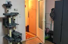 Apartament 2 camere zona Titulescu-Albini