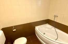 Apartament la casa, 2 camere, gradina, 40 mp, zona Piata Mihai Viteazu