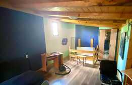 Apartament la casa, 2 camere, gradina, 40 mp, zona Piata Mihai Viteazu