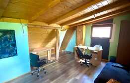 Apartament la casa, 2 camere, gradina, 40 mp, zona Piata Mihai Viteazu