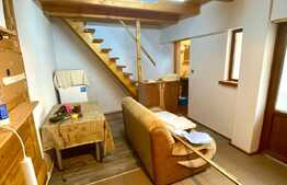 Apartament la casa, 2 camere, gradina, 40 mp, zona Piata Mihai Viteazu