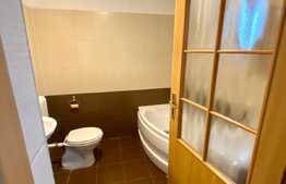 Apartament la casa, 2 camere, gradina, 40 mp, zona Piata Mihai Viteazu