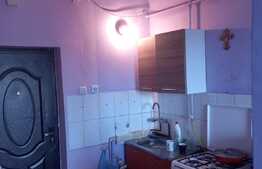 Investitie! Garsoniera cocheta, 22 mp, zona Traian Vuia