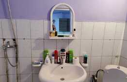 Investitie! Garsoniera cocheta, 22 mp, zona Traian Vuia