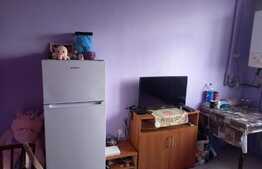 Investitie! Garsoniera cocheta, 22 mp, zona Traian Vuia