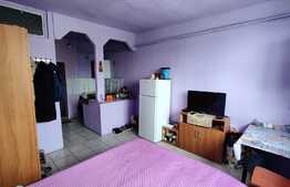Investitie! Garsoniera cocheta, 22 mp, zona Traian Vuia