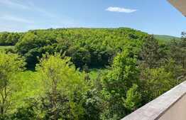 Apartament de lux, 3 camere, intermediar, Floresti