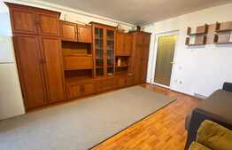 Garsoniera 30mp, zona Astra