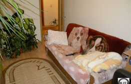 Apartament 2 camere, 55 mp utili, decomandat, la 5 minute de Gara!