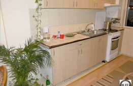 Apartament 2 camere, 55 mp utili, decomandat, la 5 minute de Gara!