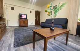 1 camera, 43 mp, prima inchiriere, modern, zona strazii Nicolae Titulescu 