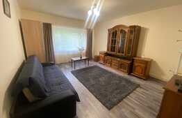 1 camera, 43 mp, prima inchiriere, modern, zona strazii Nicolae Titulescu 