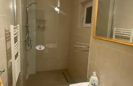 1 camera, 43 mp, prima inchiriere, modern, zona strazii Nicolae Titulescu 