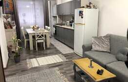 Apartament elegant 67 mp, prima inchiriere, zona VIVO