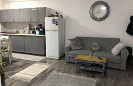 Apartament elegant 67 mp, prima inchiriere, zona VIVO