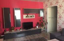 Apartament de 2 camere, 46 mp, parcare, zona Piata Mihai Viteazul