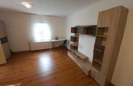 Casa individuala, 42 mp si posibilitate de parcare, zona Hasdeu