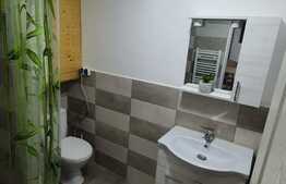 Apartament, 2 camere, gradina, cheltuieli incluse, zona centrala