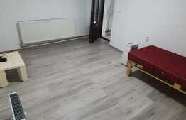 Apartament, 2 camere, gradina, cheltuieli incluse, zona centrala