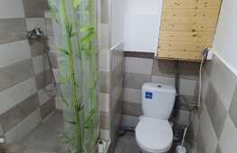 Apartament, 2 camere, gradina, cheltuieli incluse, zona centrala