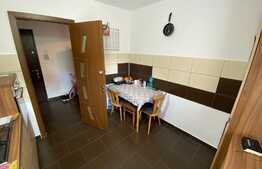 Apartament de 2 camere, 50 mp! Zona Gemenii 