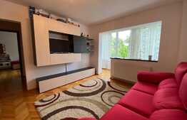 Apartament de 2 camere, 50 mp! Zona Gemenii 