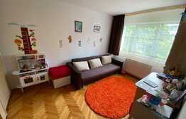 Apartament de 2 camere, 50 mp! Zona Gemenii 