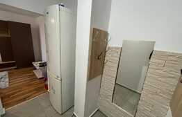 1 camera, semidecomandat, proaspat renovat, 29 mp, zona strazii Portile de fier