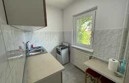 1 camera, semidecomandat, proaspat renovat, 29 mp, zona strazii Portile de fier