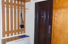 De vanzare garsoniera la 3 minute de magazinul Profi