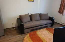 Garsoniera 22 mp, parter, zona bulevardului Muncii