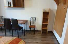 Garsoniera 22 mp, parter, zona bulevardului Muncii