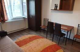 Garsoniera 22 mp, parter, zona bulevardului Muncii