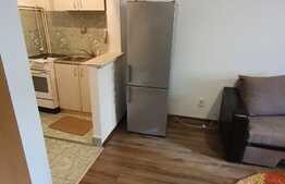 Garsoniera 22 mp, parter, zona bulevardului Muncii