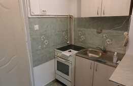 Garsoniera 22 mp, parter, zona bulevardului Muncii