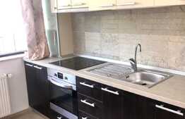 2 camere, decomandat, 45 mp, terasa 24 mp, parcare, zona strazii Campului