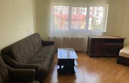 Apartament 2 camere, 52 mp, balcon, zona străzii Tâșnad