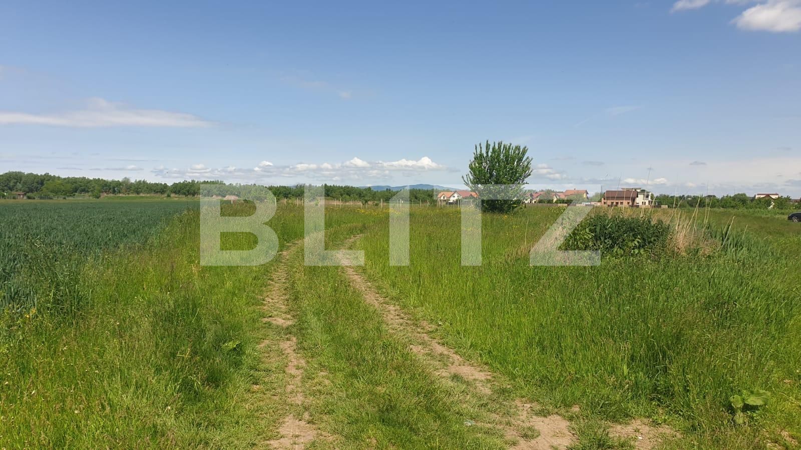 Teren de vânzare Stupini - 65437TV | BLITZ Brașov | Poza2